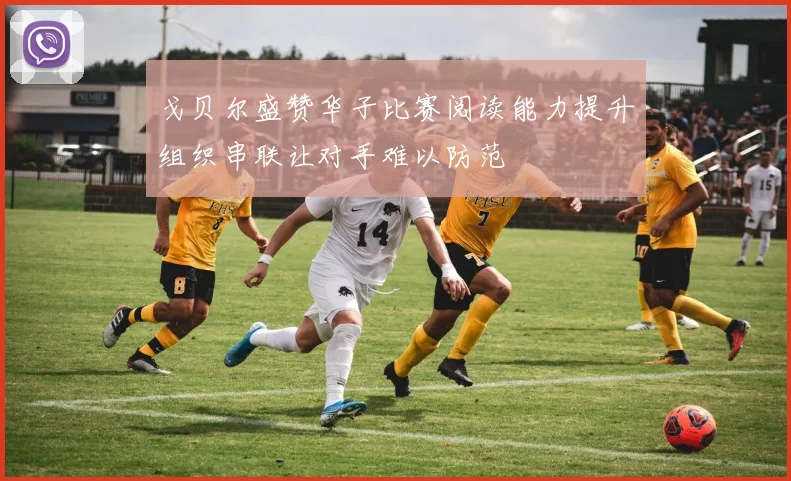 戈贝尔盛赞华子比赛阅读能力提升组织串联让对手难以防范